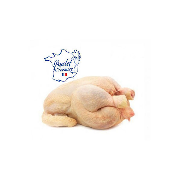image poulet-fermier3